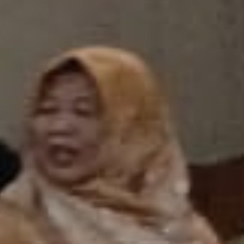 Ketua Bidang